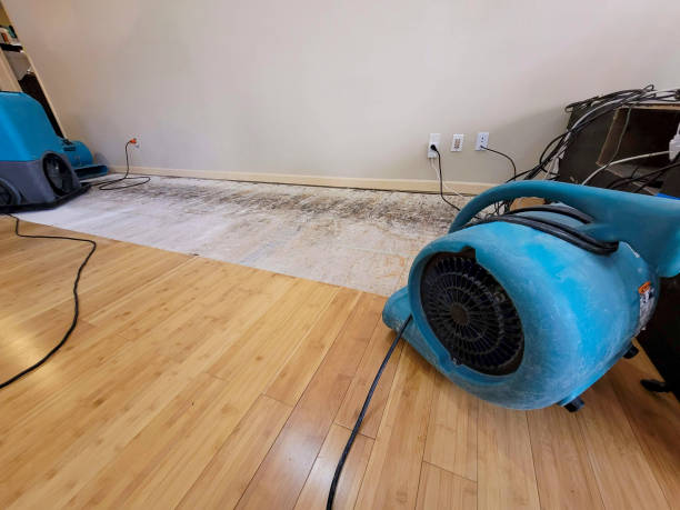 Professional Burst Pipe Water Damage technician working in Tate, GA